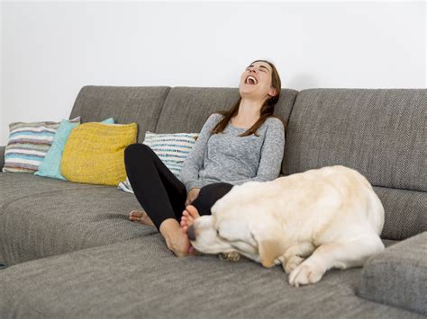 Dog licks womans wet pussy so good that she comes